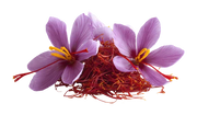 Safran